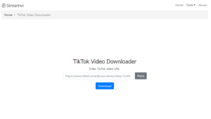 Streamvi TikTok Video Downloader